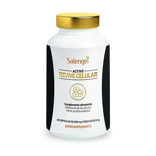 Salengei Active Revive Cell 60 kapsúl on Productcaster.