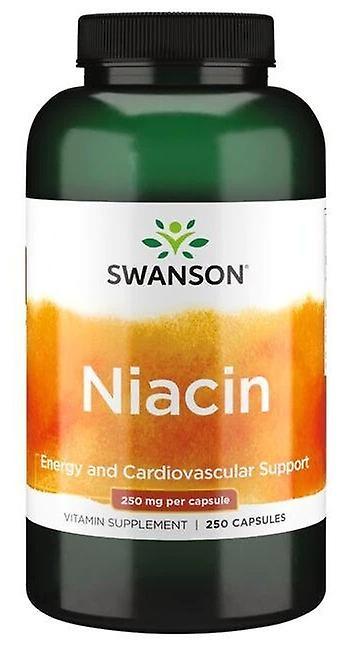 Swanson Niacinamide 500 mg 250 kapselit on Productcaster.