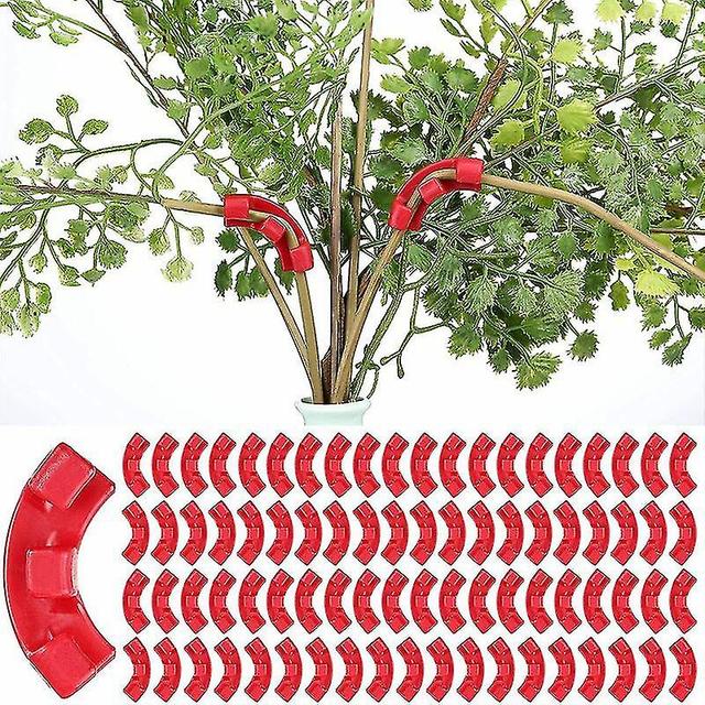 60 Pack 90 degrés plantes cultivant des pinces à épiler pour un contrôle des plantes à faible stress Rouge on Productcaster.