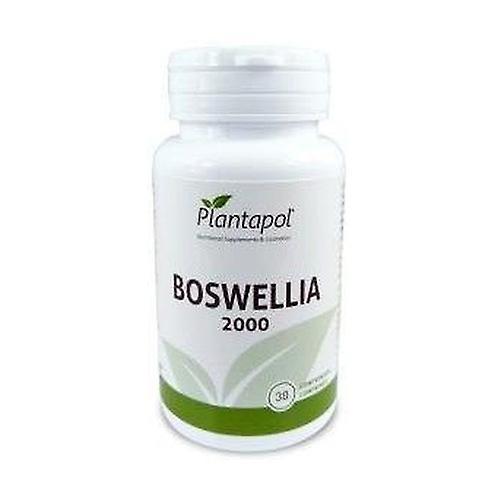 Planta Pol Boswellia 2000 30 tablets on Productcaster.