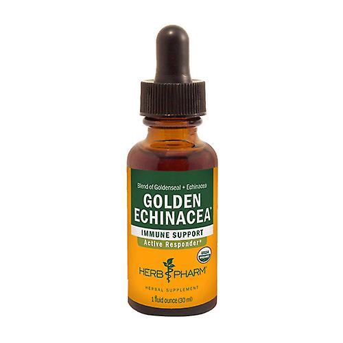 Herb Pharm Golden Echinacea, 1 Oz (Pack of 2) on Productcaster.