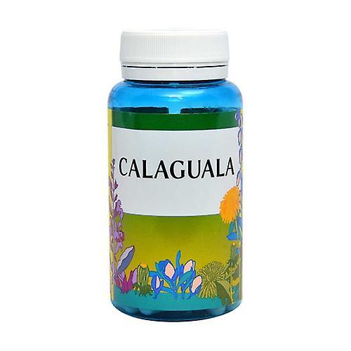 Espadiet Naturlife Calaguala 90 tablets on Productcaster.