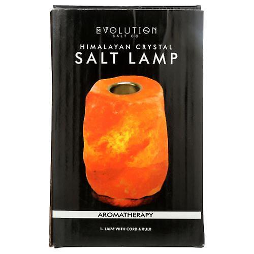 Evolution Salt Evolution Soľná aromaterapeutická soľná lampa, 1 počet (balenie po 1) on Productcaster.