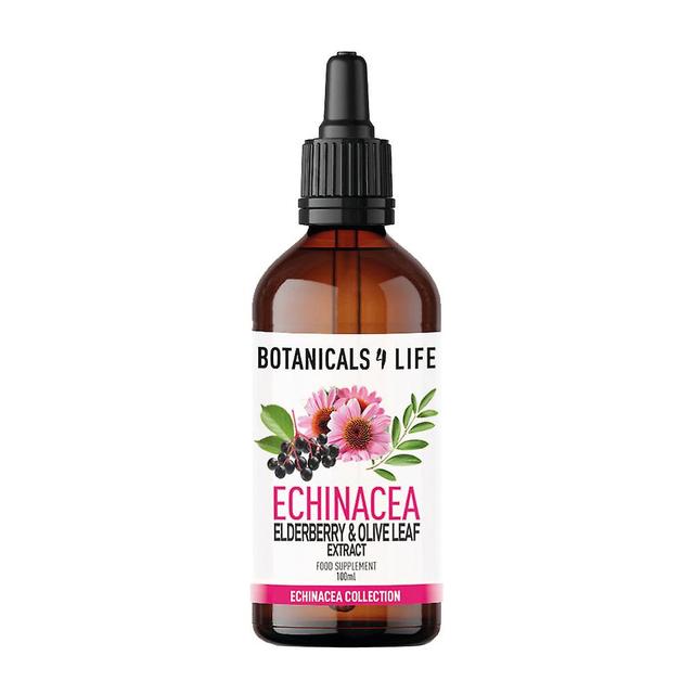 Botanicals4Life Rastliny 4 život echinacea baza čierna & extrakt z olivových listov on Productcaster.