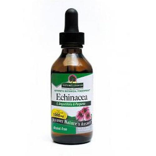 Nature's Answer Echinacea, alkoholfreier Extrakt 2 FL Oz (2er Packung) on Productcaster.