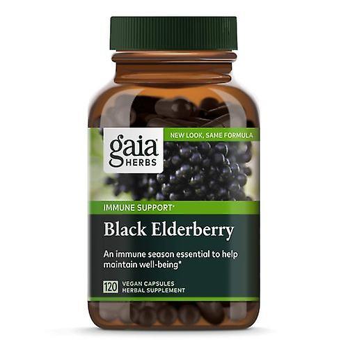 Gaia Herbs Gaia byliny čierna baza, Nočný sirup 5,4 oz (balenie po 1) on Productcaster.