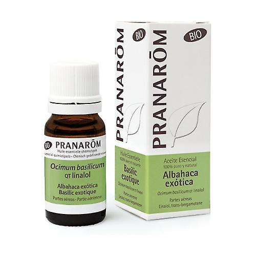 Pranarôm Exotická bazalka Esenciálny olej 10 ml on Productcaster.