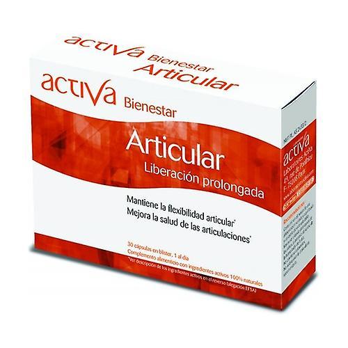 Activa joint wellness 30 vegetable capsules on Productcaster.