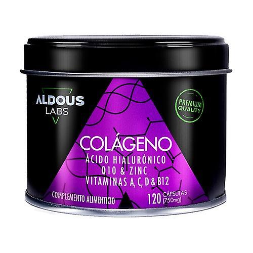 Aldous Bio Collagen with hyaluronic acid, Q10, vitamins and zinc 120 capsules of 750mg on Productcaster.