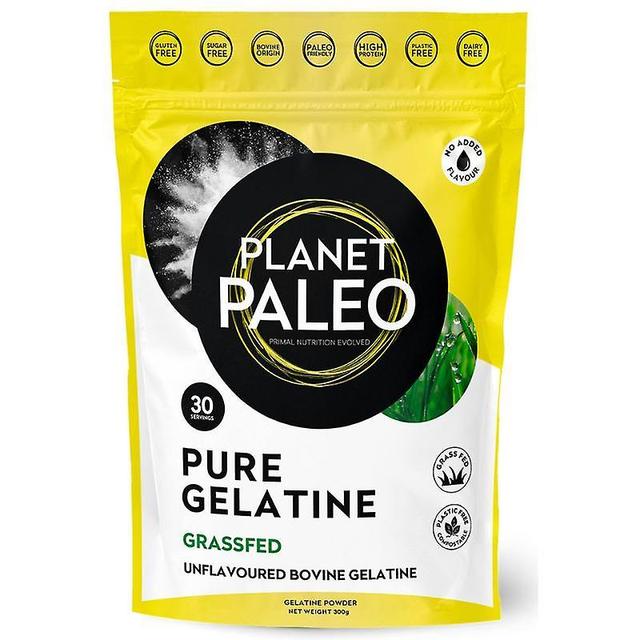 Planet Paleo Pure Gelatine 300g (PP8001) on Productcaster.