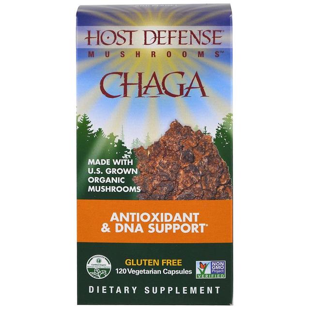 Fungi Perfecti, Chaga, 120 Vegetarian Capsules on Productcaster.