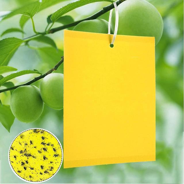 Augro 100pcs Yellow Fly Trap Professional For Cherry Raspberry Nectarine Plum Apple Pineapple Treegrape Vine on Productcaster.