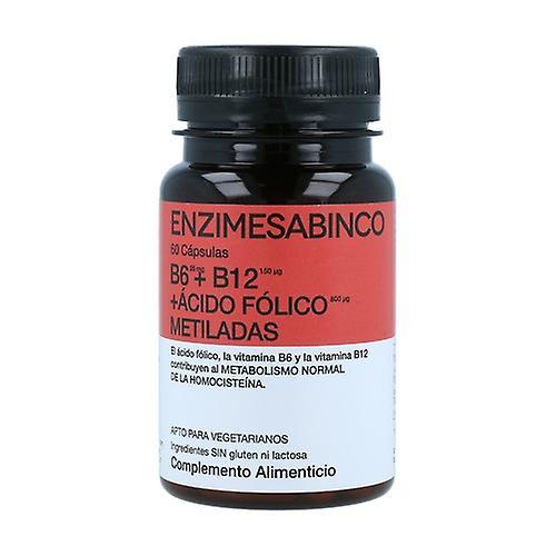 Enzime Sabinco Vitamins B6 + B12 + Methylated Folic Acid 60 capsules on Productcaster.