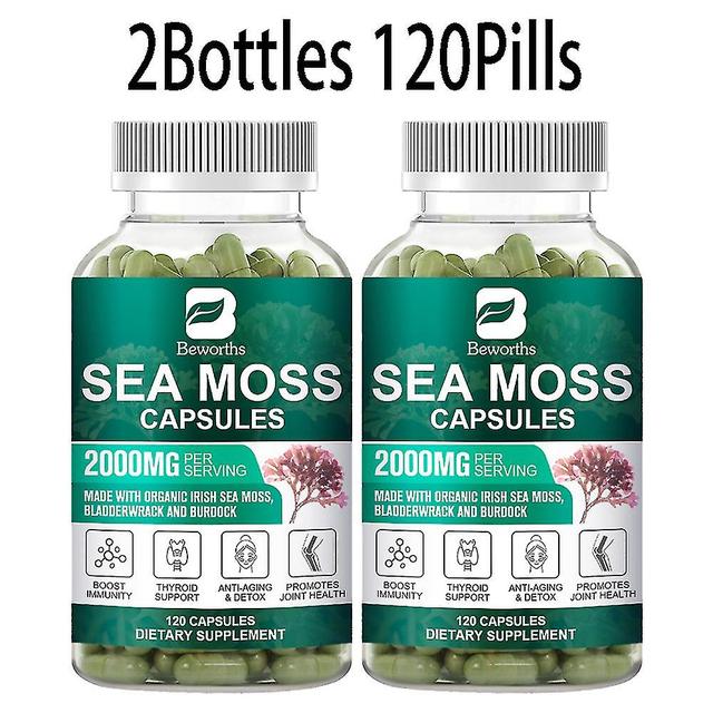 Guoguo 120pc Organic Sea Moss Pill Plus Bladder & Burdock Root For Intestinal Health & Immune Support & Thyroid Supplements 2bottles 120 pills on Productcaster.