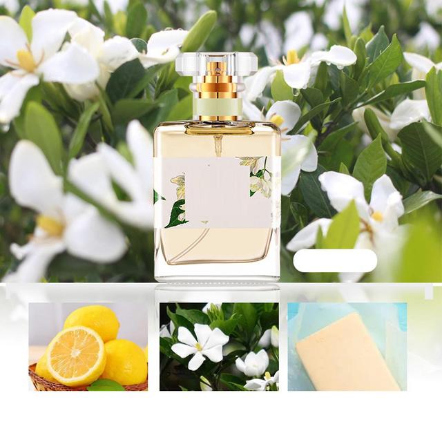 Chicoque 50 ml perfum damskich, długotrwały zapach perfum w sprayu, perfumy zapobiegające wyciekom prezent na randki zakupy podróże praca Gardenia ... on Productcaster.