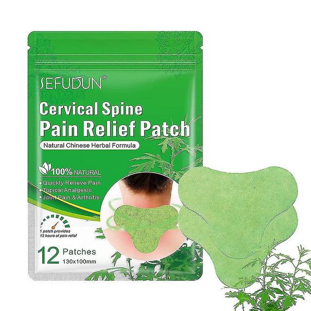 Erxp Lumbar Spine Sticker - Wormwood Extracts Pain Relief Patch For Arthritis (pack Of 3) Cervical Spine Patch on Productcaster.