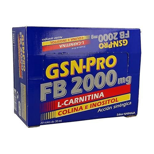 GSN-Pro FB 2000 20 vials of 30ml on Productcaster.