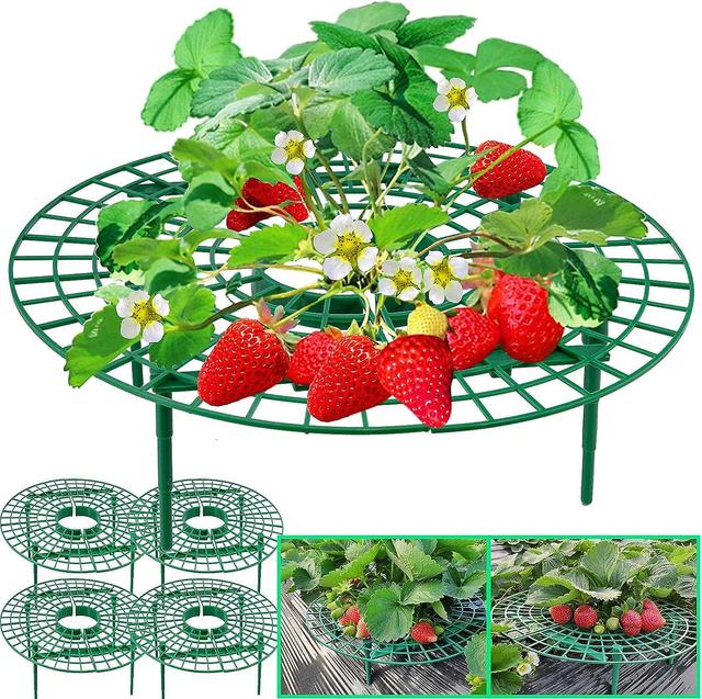 5 Pack Strawberry Supports - Plant Growing Racks to Avoid Ground Rot on Productcaster.