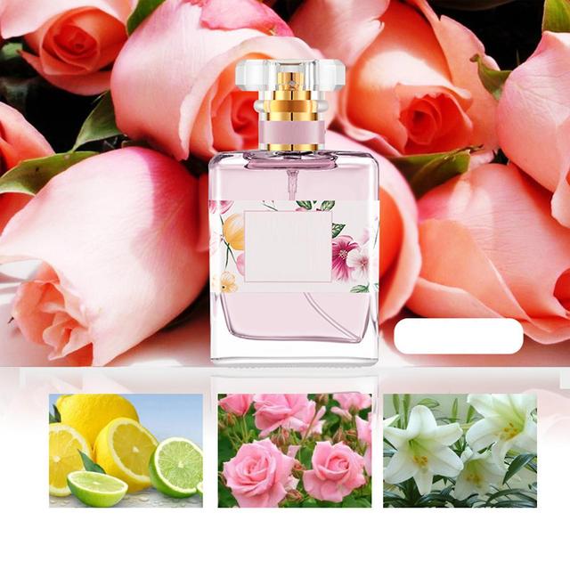 Chicoque 50ml Lady Parfum, Parfum Longue Durée Parfum Spray, Anti Fuite Parfum Cadeau Pour Sortir Ensemble Shopping Voyage Travail Rose falvor on Productcaster.