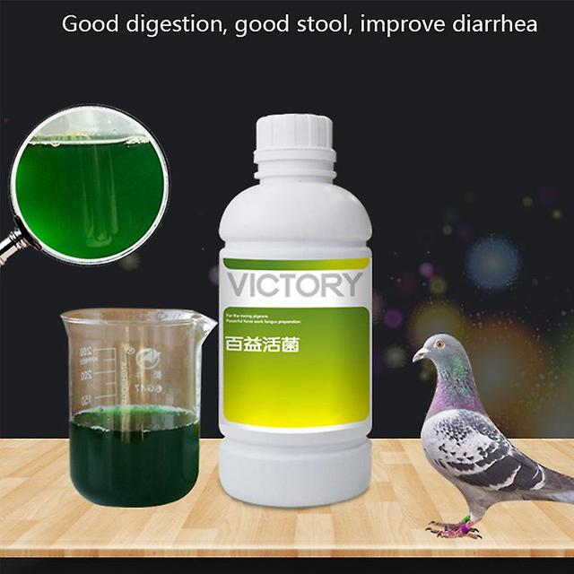 Belita Amy Pigeon Gastrointestinal Probiotics 500ml Meat Pigeon Racing Pigeon Homing Pigeon Diarrhea Diarrhea Green Will Help Digestion And on Productcaster.