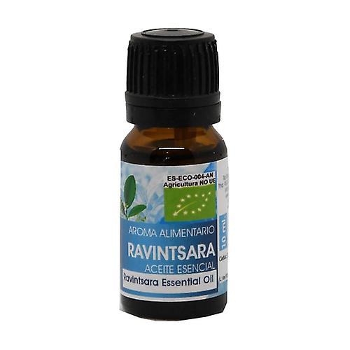 El Oro de los Andes Organic ravintsara essential oil 10 ml of essential oil on Productcaster.