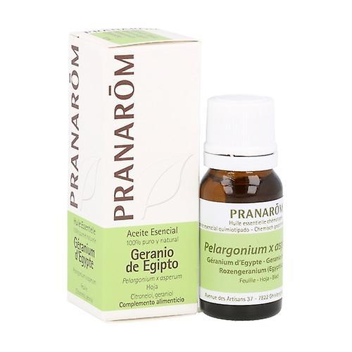 Pranarôm Egyptian Geranium Essential Oil 10 ml of essential oil on Productcaster.