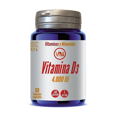 Ynsadiet Vitamin D3 (4,000 IU) 60 vegetable capsules on Productcaster.