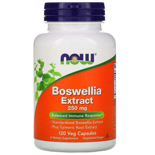 Now Foods, Boswellia Extract, 250 mg, 120 Veg Capsules on Productcaster.