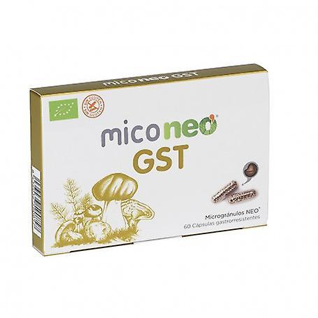 Neo Reishi 60 Capsules 8436036590956 on Productcaster.