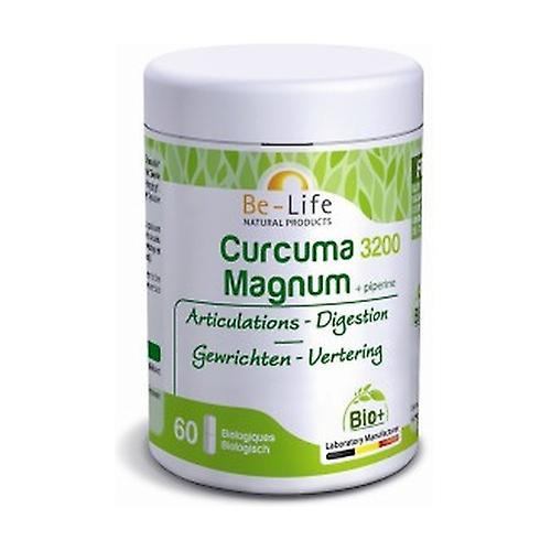 BioLife Kurkuma Magnum 60 softgels on Productcaster.