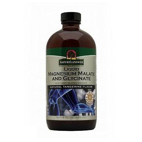 Nature's Answer Liquid Magnesium Glycinate, Natuurlijke Mandarijn Smaak, 16 Oz (Pak van 3) on Productcaster.