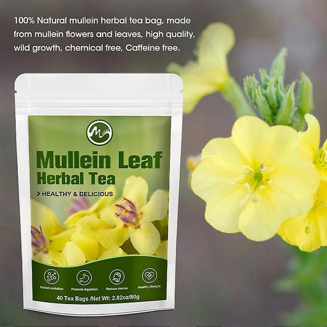 Ört Mullein Leaf Set Lungrengöring Rensa bort värme och avgiftning lindra hosta Avgiftning Hälso- och sjukvårdTIB TIB . 30 D on Productcaster.