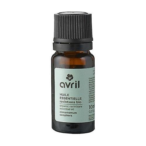 Avril Organic Ravintsara essential oil 10 ml of essential oil on Productcaster.