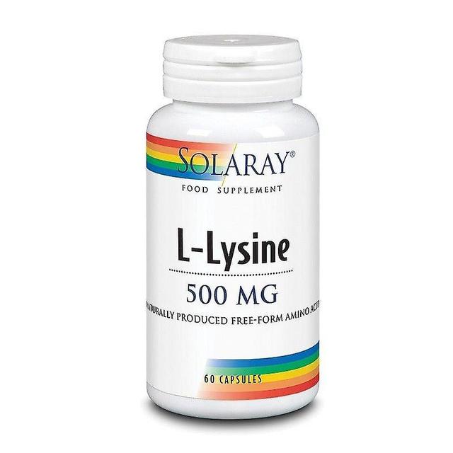 Solaray Free-Form L-lizyna 500mg Kapsułki 60 (14064) on Productcaster.