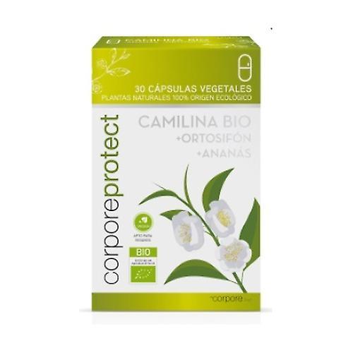 Corpore Diet Corpore Protect Camilina 30 capsules on Productcaster.