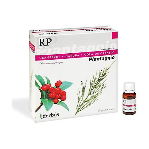 Derbós Plantaggio Rp 20 hætteglas på 10 ml on Productcaster.