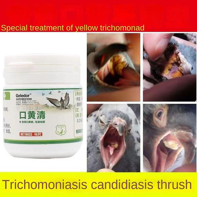 Visgaler Pigeon Huang Jingkou Huang Qing Trichomonas Thrush White Spots In The Throat Macula Oral Ulcers Candida on Productcaster.