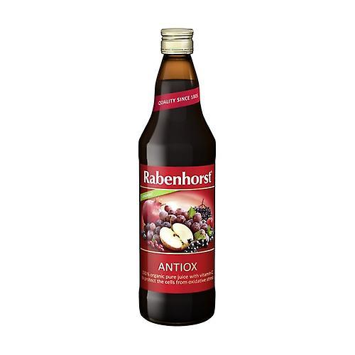 Rabenhorst Antiox Fruit Juice Eco Vegan 750 ml (Currant - Fruits - Red Berries - Blueberries - Pomegranate - Grape - Acerola) on Productcaster.