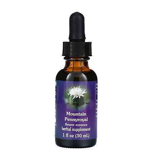 Flower Essence Services Mountain Pennyroyal Dropper, 1 oz (Pack of 1) on Productcaster.