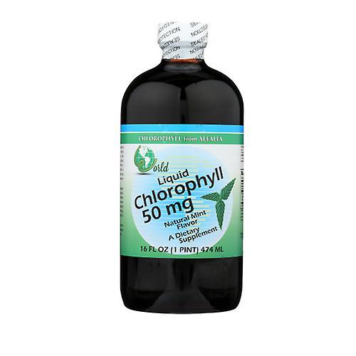 World Organics Chlorofyl, 50 mg, w / Pepermunt Vloeistof 16 FL Oz (Pack van 4) on Productcaster.