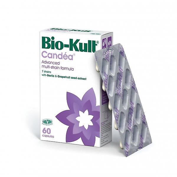 Protexin Bio-Kult Candea, 60 Capsules on Productcaster.