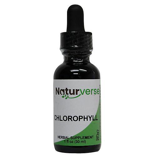 Naturverse Chlorophyll Formula Liquid Extract Alcohol-Free, 1 Oz on Productcaster.