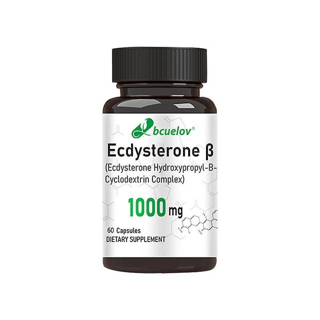 Vorallme Ecdysterone Capsules - Helps Build Muscle Burn Fat & Enhance Men's Health Supports Metabolism Muscle Mass Gain 60 count-1 bottle on Productcaster.