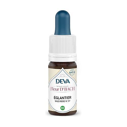 Deva Organic Rosehip (Wild Rose) 10 ml of floral elixir on Productcaster.