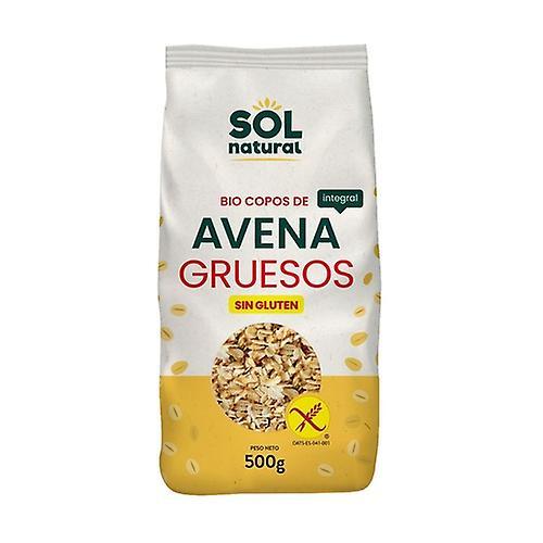 Sol Natural Gluten Free Wholemeal Coarse Oat Flakes Bio 500 g on Productcaster.