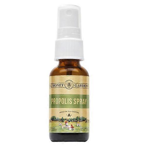 Honey Gardens Apitherapy Raw Honey Propolis Spray, 1 oz (Pacote de 6) on Productcaster.