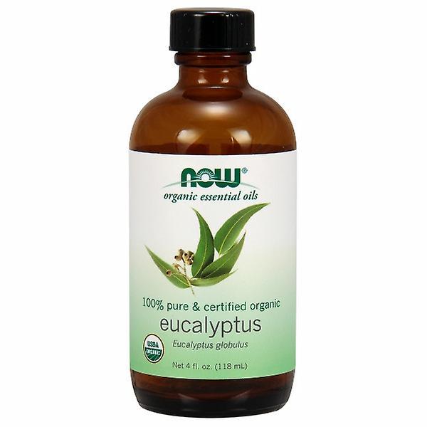 Now Foods Organiczny olej eukaliptusowy, 4 uncje (opakowanie 1) on Productcaster.