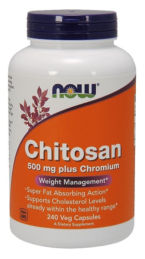 NOW Foods Nå Matvarer Chitosan 500 mg pluss Chromium 240 Kapsler 733739020260 on Productcaster.