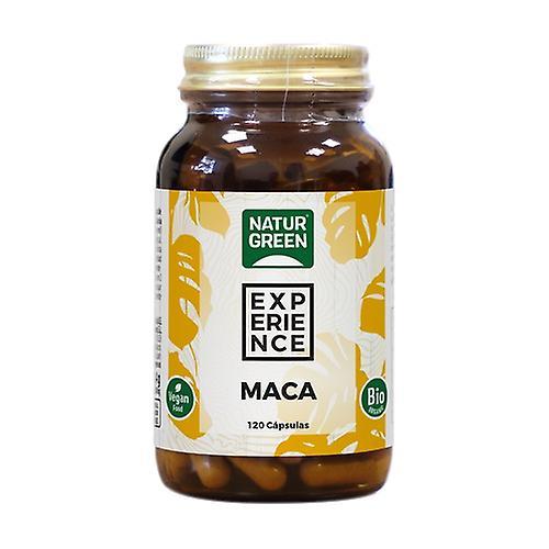 Naturgreen Maca 120 capsules on Productcaster.