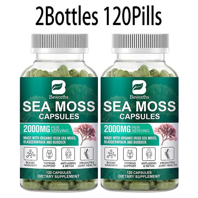 Eccpp 120pc Organic Sea Moss Pill Plus Bladder & Burdock Root For Intestinal Health & Immune Support & Thyroid Supplements 2bottles 120 pills on Productcaster.